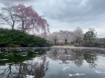 🏞️ 나카가와 강변 공원 (나카가와카한코엔)